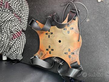 Schienalino sub Saplast