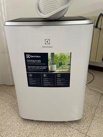 Climatizzatore portatile 10000btu Electrolux