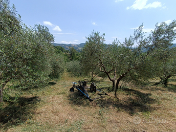 Falciatrice BCS a petrolio