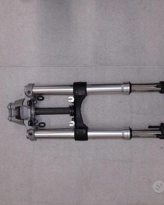 forcella anteriore completa monster 696 796