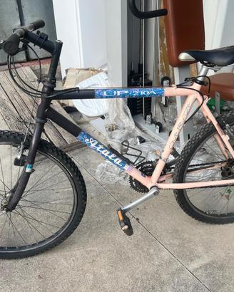 BICICLETTA UOMO