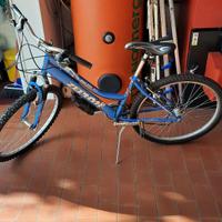 Bicicletta da donna