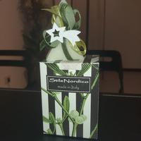 Sapone Natalizio Stile Nordico