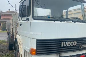 Iveco 110-14 ribaltabile con gru