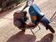 Immagine 1