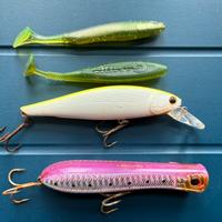 Set 4 esche pesca spinning + esca regalata