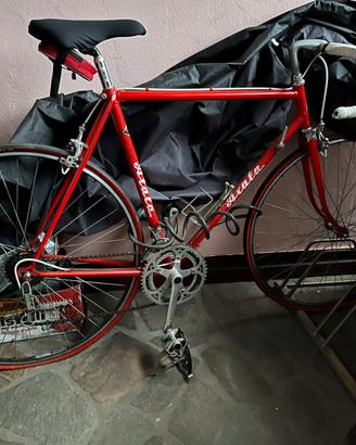 Atala 1975 dacorsa