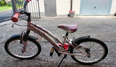 Bicicletta da bambina