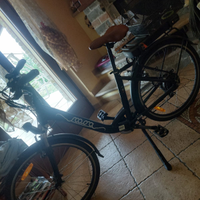 Bici elettrica