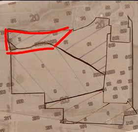 Terreno Villa San Pietro 10000 mq circa