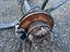 Immagine 6