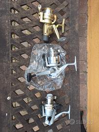 Mulinelli Cardinal e mitchell