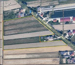 Terreno Agricolo + vigneto