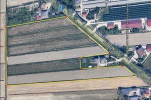 Terreno Agricolo + vigneto