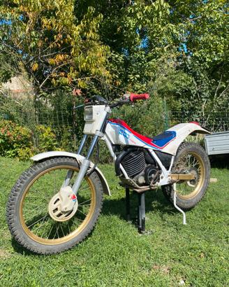 Fantic 303