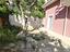 Immagine 26