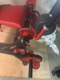 Leg curl panatta