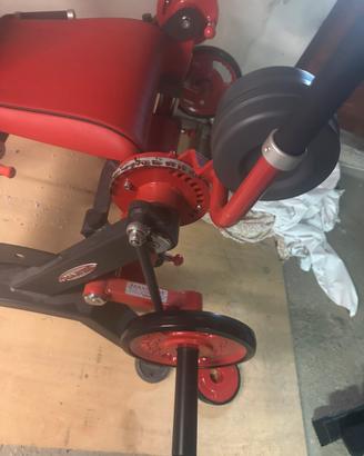 Leg curl panatta