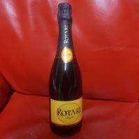 ROTARI Talento D.O.C. vino sboccatura del 2009