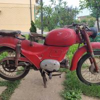 Moto Guzzi Altro modello - 1955