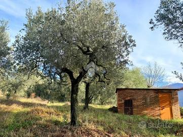TER. AGRICOLO A CANTALUPO IN SABINA