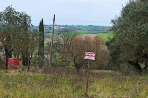Terreno edificabile
