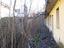 Immagine 9