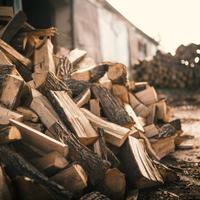 Legna da ardere