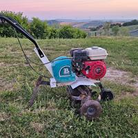 motozappa revisionata con retromarcia leggera