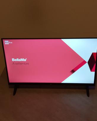 tv majestic