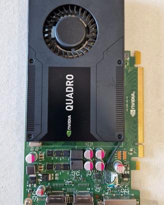 Scheda grafica K2000 NVIDIA