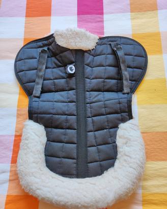 Salvagarrese Burioni 