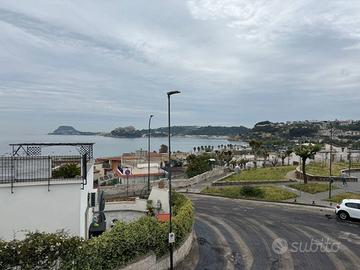 Ristorante Pozzuoli [Cod. rif 3236358VCG]