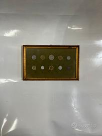 Collezione di monete in cornice