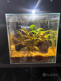 Aquario 15 lt
