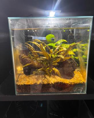 Aquario 15 lt
