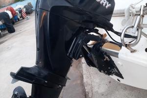 Motore Mercury 40 cavalli