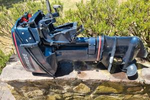 motore Evinrude 15 CV