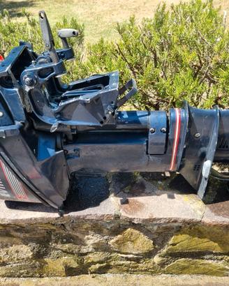 motore Evinrude 15 CV