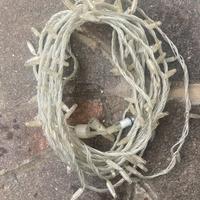 Luce da esterno natalizie