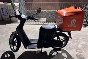 Askoll elettrico