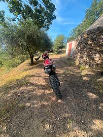 Gas gas ec350f