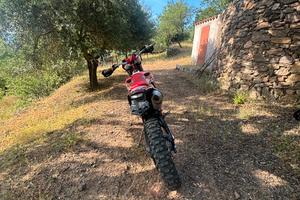 Gas gas ec350f