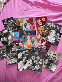 lotto cartoline con fiori anni 50 e 60