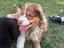 Immagine 4