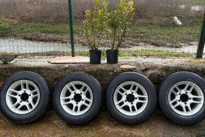 Cerchi in lega con gomme