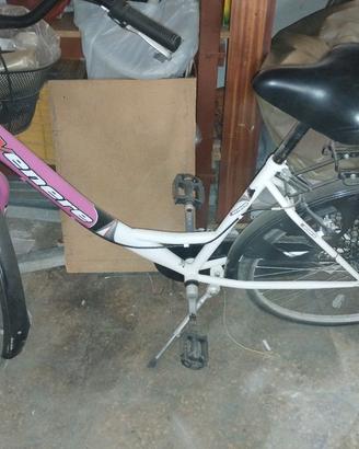 bicicletta