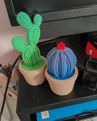 cactus bomboniere