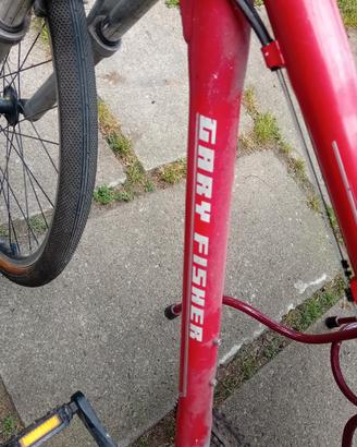 bicicletta GARY FISHER