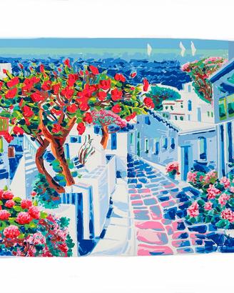 Faccincani L'ibiscus e un racc. di luce a Mikonos